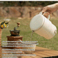 3 in 1 Multifunctional Electric Kettle