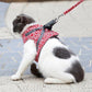 HOT SALE 49% OFF Pet Leash Breakaway bröstrem väst sele