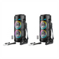 🎤 50% RABATT! 🔥 Bärbar Bluetooth-högtalare med trådbunden mikrofon – Kraftfullt ljud & bärhandtag – Perfekt för karaoke, fester eller utomhusbruk – inkluderar 6,35mm mikrofoningång 🎶✨