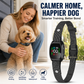 🐶 50% RABATT NU! 🐶 Smart anti-skallhalsband för hundar – stötfri träning, vibration & pip, smart filter & vattentät – perfekt för skonsam och effektiv hundträning 🐾✨